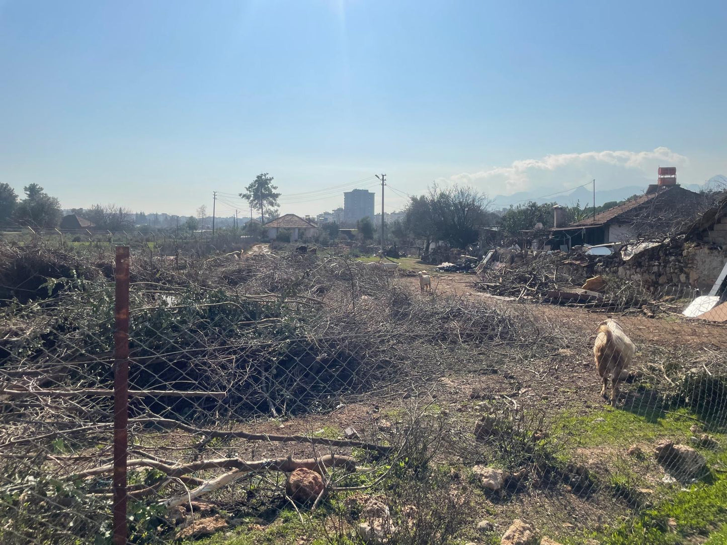 ANTALYA KEPEZ DURALİLER'DE SATILIK TARLA