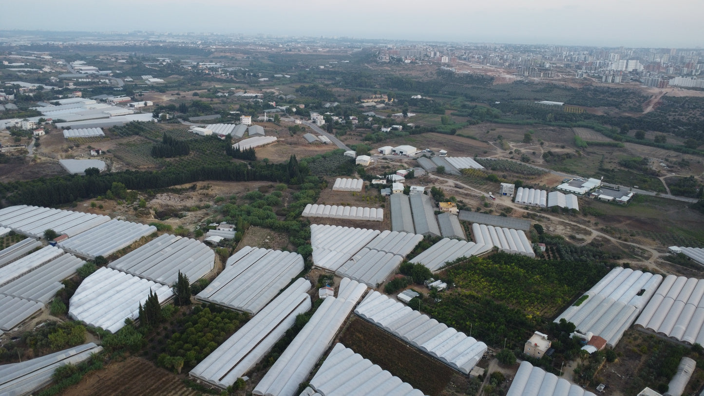 ANTALYA AKSU MANDIRLAR'DA İMAR SINIRINDA 3066 M2 SATILIK TARLA