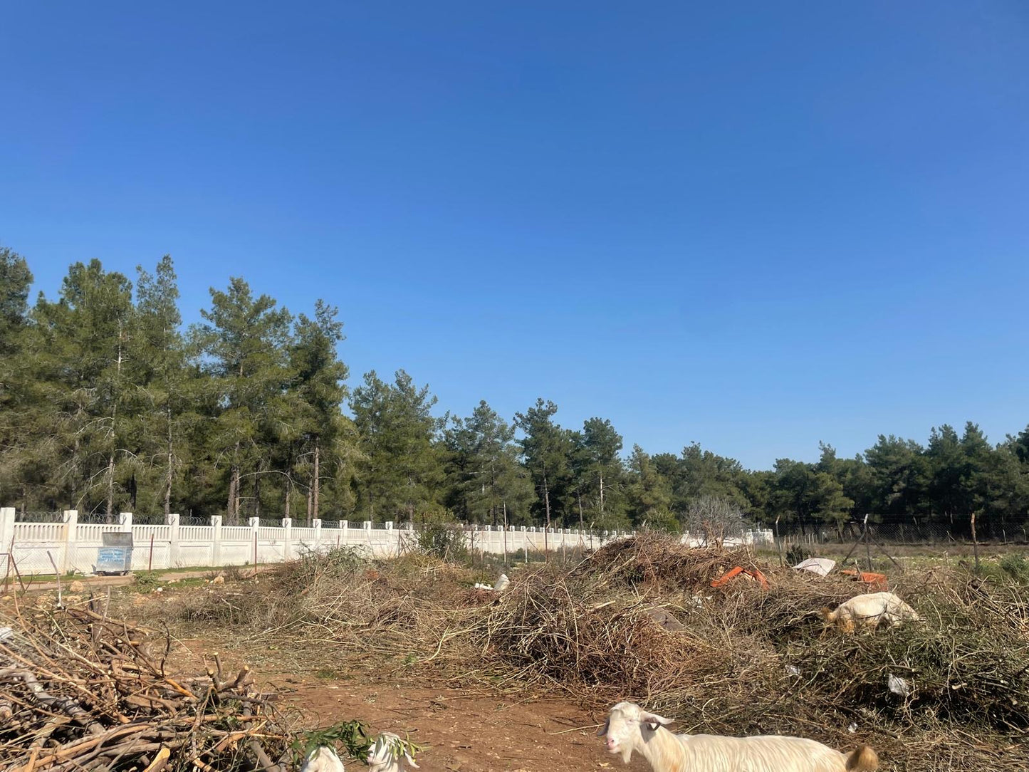 ANTALYA KEPEZ DURALİLER'DE SATILIK TARLA
